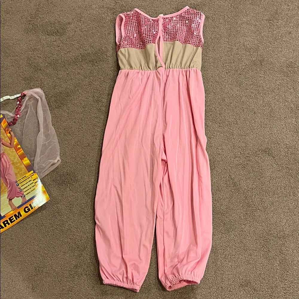 Pink Harem girl/genie costume VGUC size medium from Rubies Halloween Concepts.